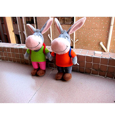 <b>驴友旅游纪念品</b>