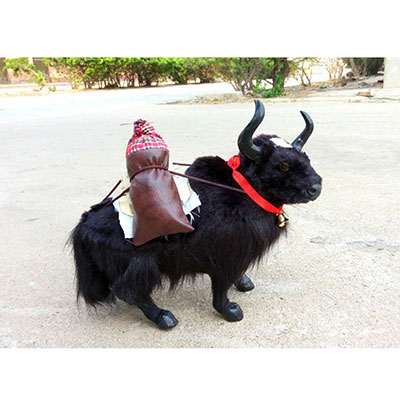 <b>西藏旅游纪念品</b>