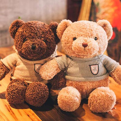 <b>公仔熊泰迪熊玩偶可刺绣</b>