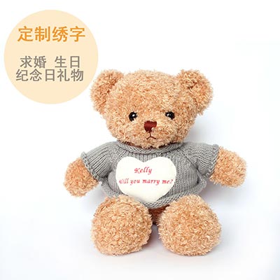 <b>可绣字毛绒玩具泰迪熊公仔</b>