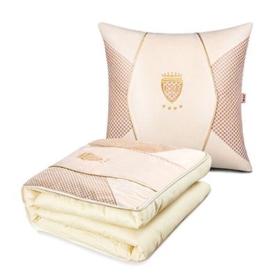 <b>汽车抱枕被子两用定制</b>