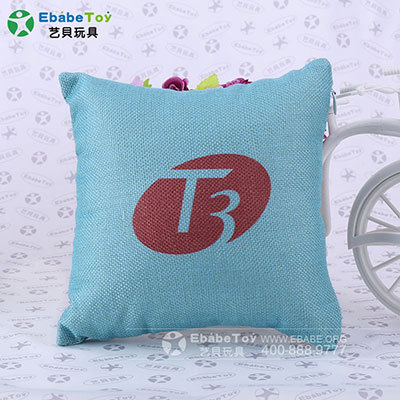 2020年7月 T3抱枕定制